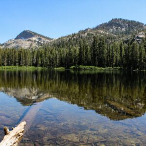 Plug ‘N Play Consultants Partners with Tahoe Donner on New Digital Project