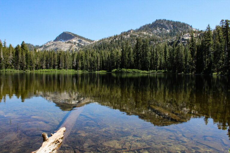 Plug ‘N Play Consultants Partners with Tahoe Donner on New Digital Project